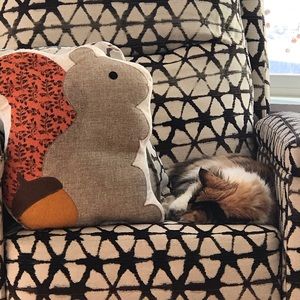 Meet your Posher, Mandi